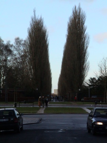 Laan