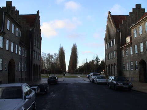Laan