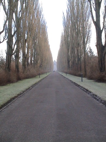 Laan