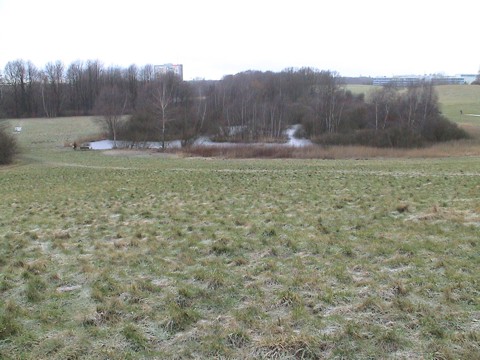 Uitsig