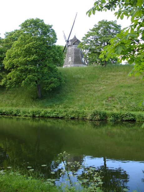 Windmeule