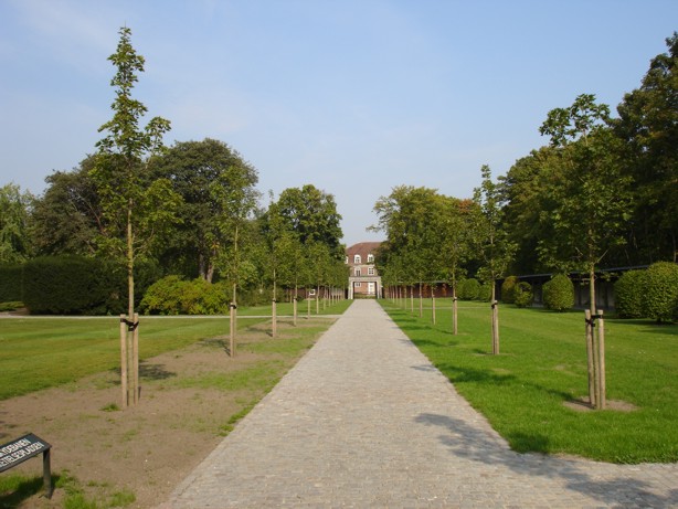 Pad