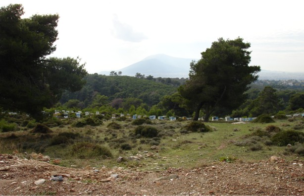 Byekorwe