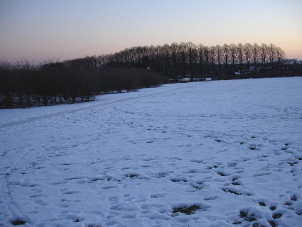 Park