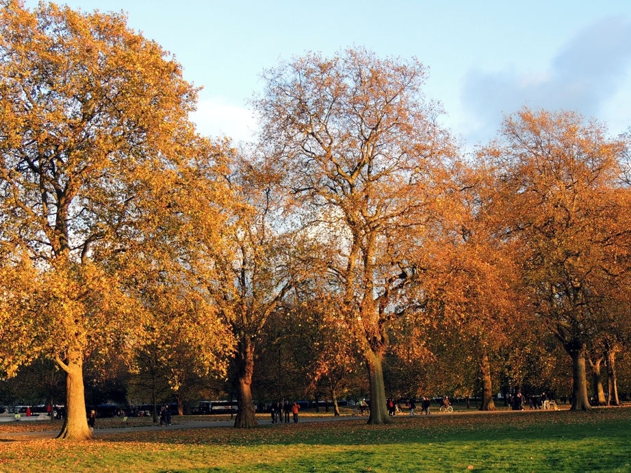 Park