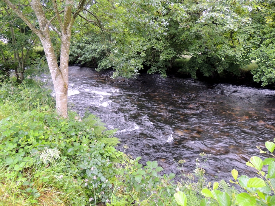 Rivier