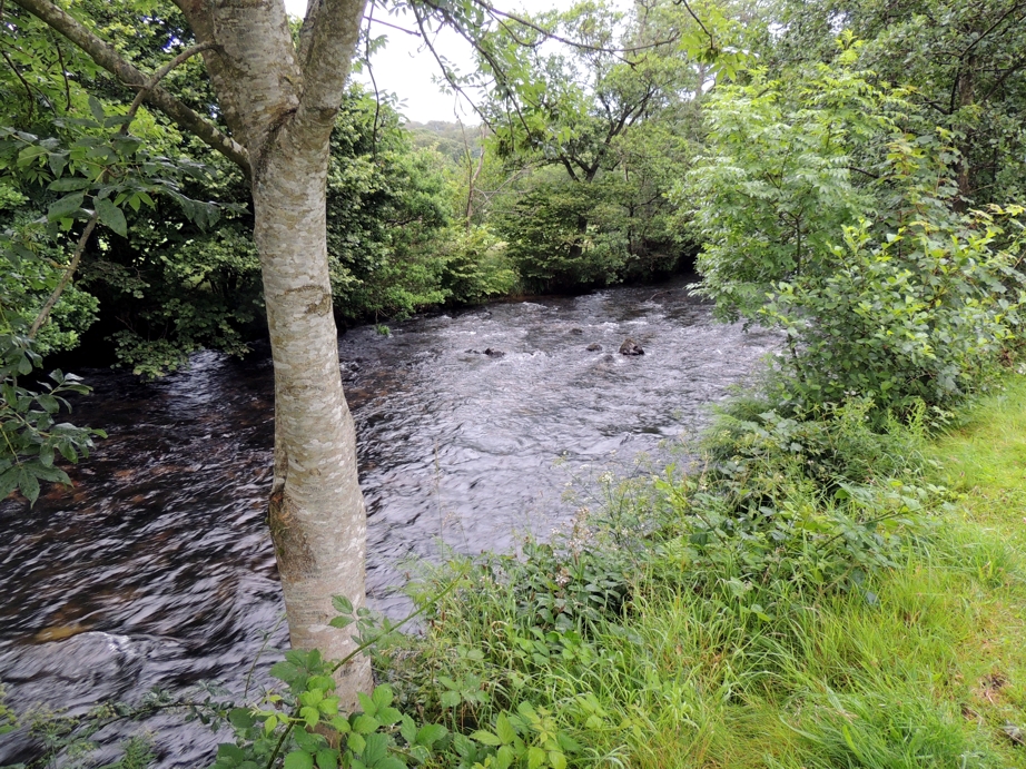 Rivier